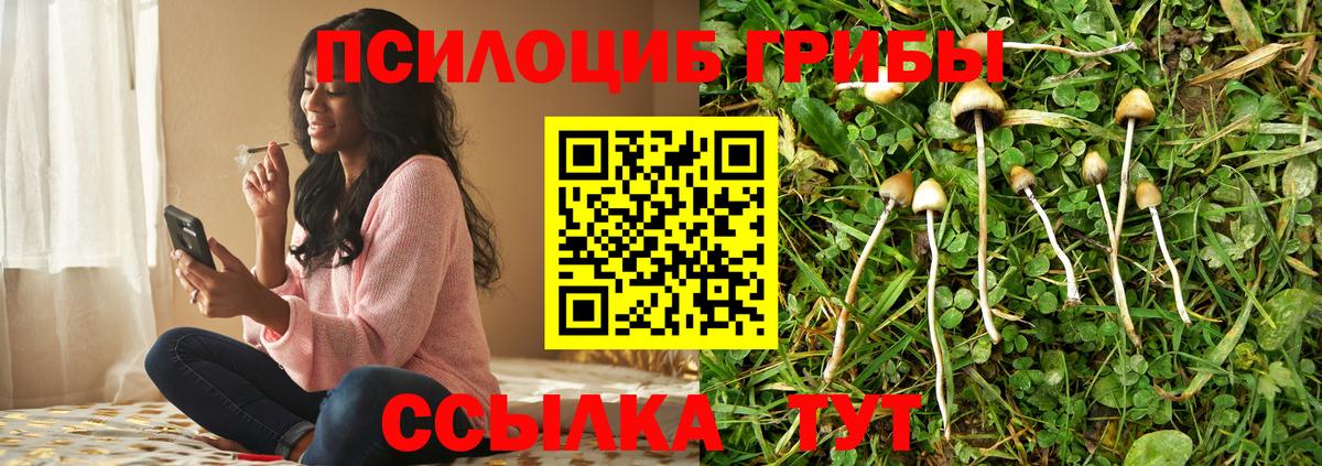 Галлюциногенные грибы GOLDEN TEACHER Нижнеудинск
