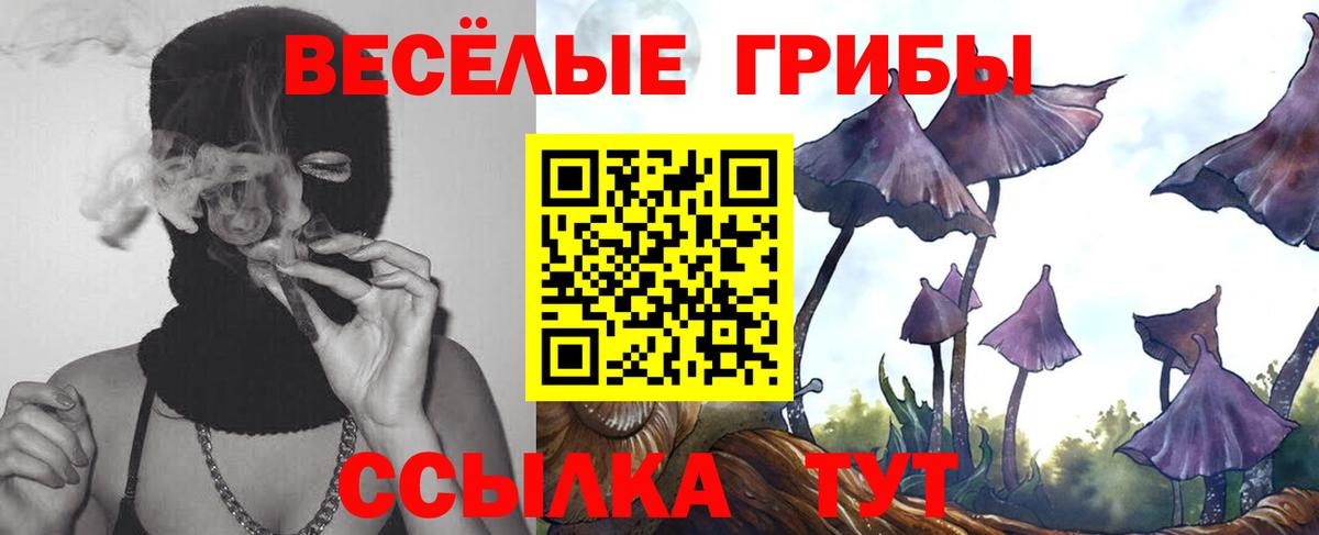 купить наркотик  Вход с VPN  Нижнеудинск  Псилоцибиновые грибы Psilocybe 